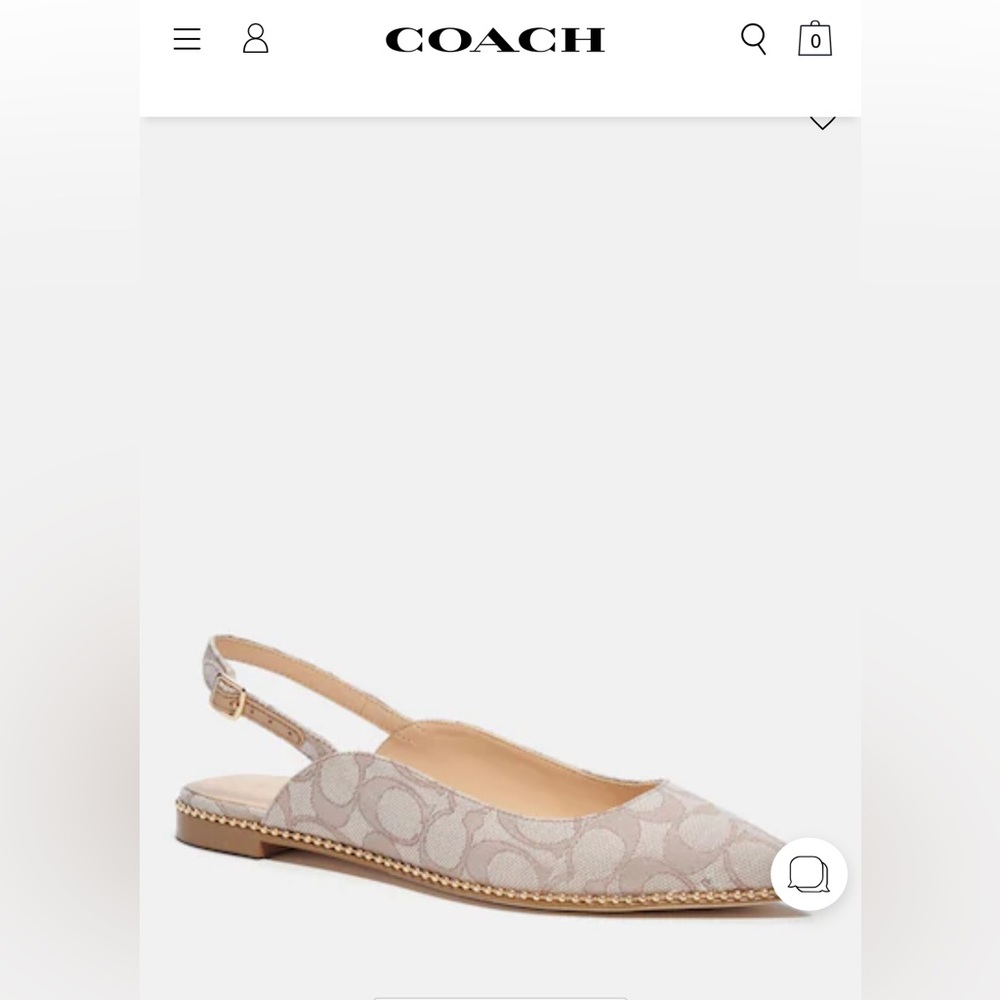 Coach skimmers